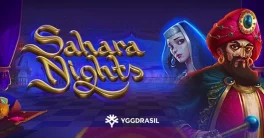 Sahara Nights